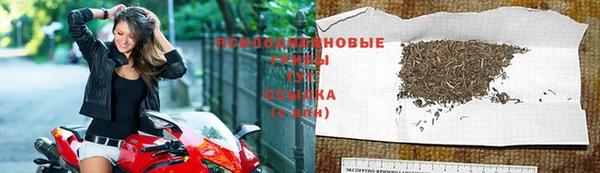 мдма Гусев