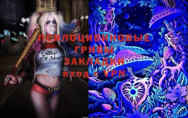 PSILOCYBIN Гусь-Хрустальный