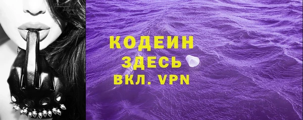 PSILOCYBIN Гусь-Хрустальный