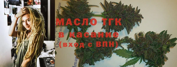 прущие грибы Слюдянка