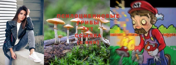 мдма Гусев