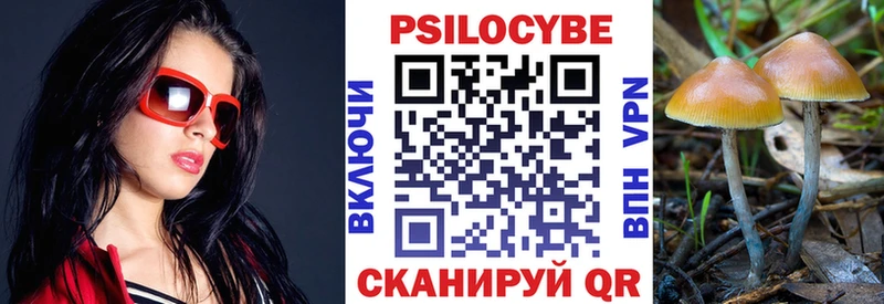 Галлюциногенные грибы Magic Shrooms  Грозный 