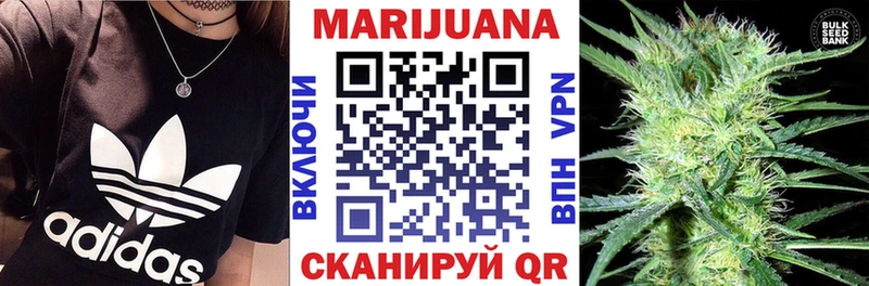 где продают   Грозный  Шишки марихуана Bruce Banner 